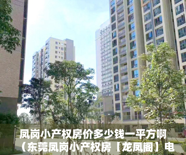 凤岗小产权房价多少钱一平方啊（东莞凤岗小产权房【龙凤阁】电梯洋房最新开盘 沃尔玛1公里）