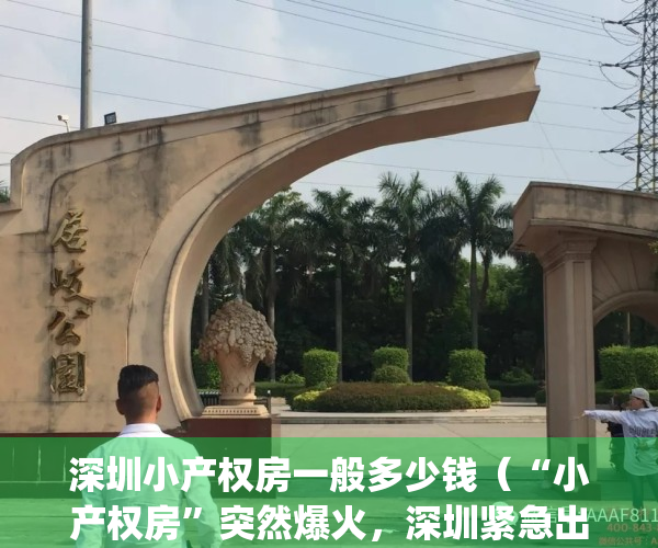 深圳小产权房一般多少钱（“小产权房”突然爆火，深圳紧急出手了）(深圳小产权房要多少钱)