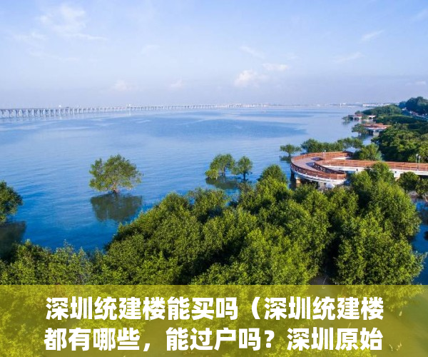 深圳统建楼能买吗（深圳统建楼都有哪些，能过户吗？深圳原始户型楼盘有哪些？村委统建楼有吗？）