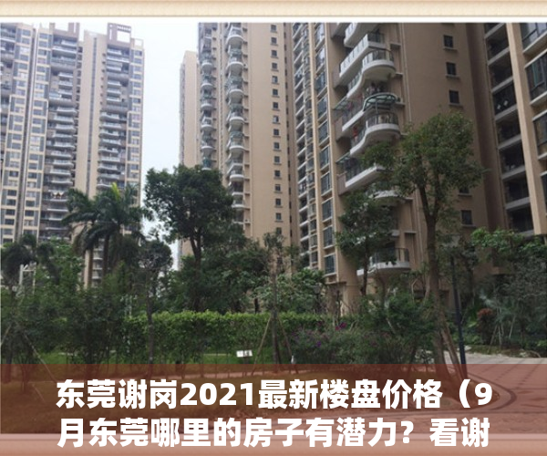 东莞谢岗2021最新楼盘价格（9月东莞哪里的房子有潜力？看谢岗谢岗房价走势）