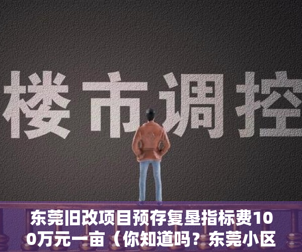 东莞旧改项目预存复垦指标费100万元一亩（你知道吗？东莞小区配套园要被回收，办成公办或非营利性幼儿园）