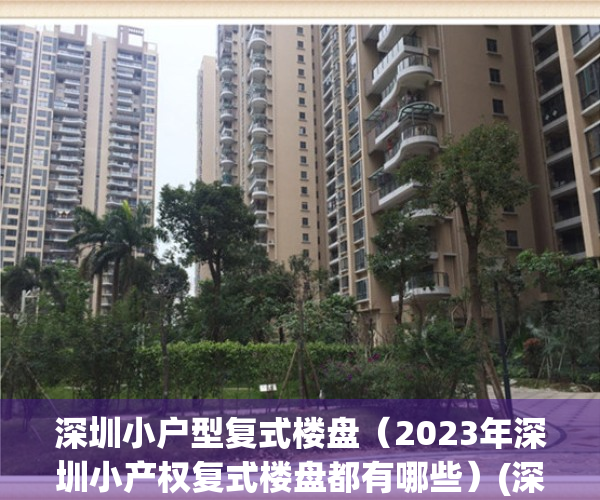 深圳小户型复式楼盘（2023年深圳小产权复式楼盘都有哪些）(深圳小产权复式房出售)