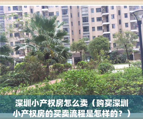 深圳小产权房怎么卖（购买深圳小产权房的买卖流程是怎样的？）(深圳小产权房买卖怎么样才能合法)