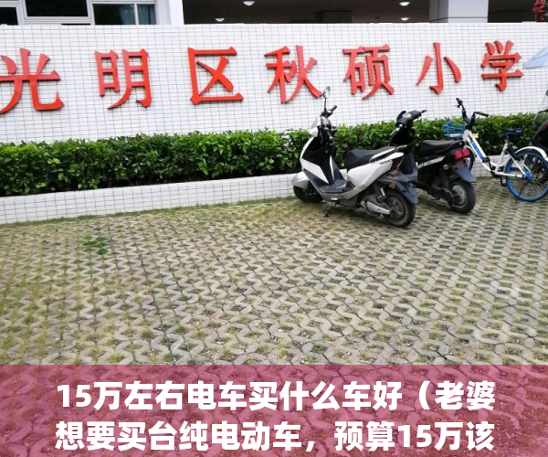 15万左右电车买什么车好（老婆想要买台纯电动车，预算15万该怎么选？）(15万左右买什么电动汽车)