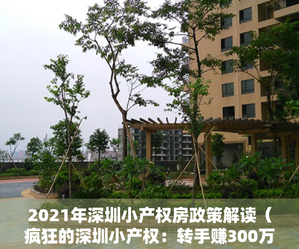 2021年深圳小产权房政策解读（疯狂的深圳小产权：转手赚300万、年涨22%、香港客扫15套……）