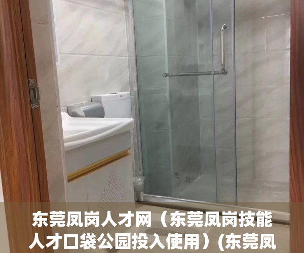 东莞凤岗人才网（东莞凤岗技能人才口袋公园投入使用）(东莞凤岗人才市场现场招聘)