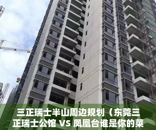 三正瑞士半山周边规划（东莞三正瑞士公馆 VS 凤凰台谁是你的菜）