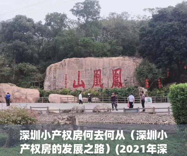 深圳小产权房何去何从（深圳小产权房的发展之路）(2021年深圳小产权房政策解读)