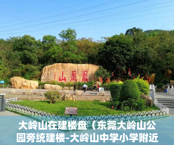 大岭山在建楼盘（东莞大岭山公园旁统建楼-大岭山中学小学附近的合建民用房-松岭御庭）