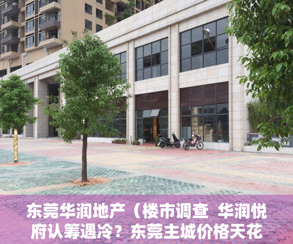 东莞华润地产（楼市调查  华润悦府认筹遇冷？东莞主城价格天花板的反差现实）