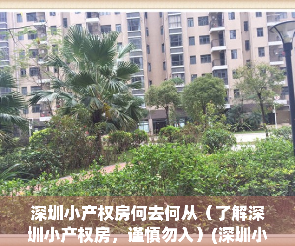 深圳小产权房何去何从（了解深圳小产权房，谨慎勿入）(深圳小产权房最新政策出台)