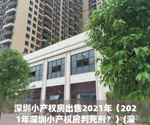 深圳小产权房出售2021年（2021年深圳小产权房判死刑？）(深圳小产权价格趋势)