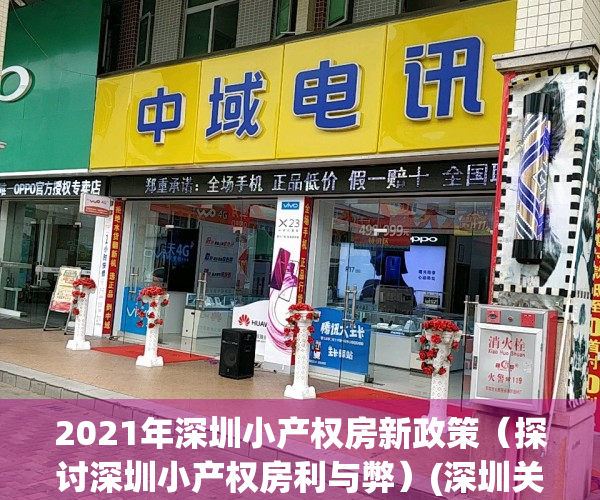 2021年深圳小产权房新政策（探讨深圳小产权房利与弊）(深圳关于小产权房问题的通知)