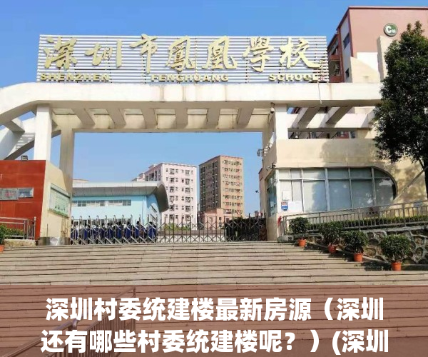 深圳村委统建楼最新房源（深圳还有哪些村委统建楼呢？）(深圳村委统建楼可靠吗)