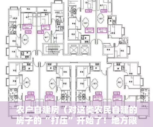 农户自建房（对这类农民自建的房子的“打压”开始了！地方限制农民自建房和小产权房了。）