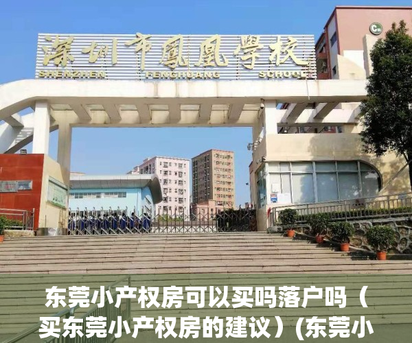 东莞小产权房可以买吗落户吗（买东莞小产权房的建议）(东莞小产权好出手吗)