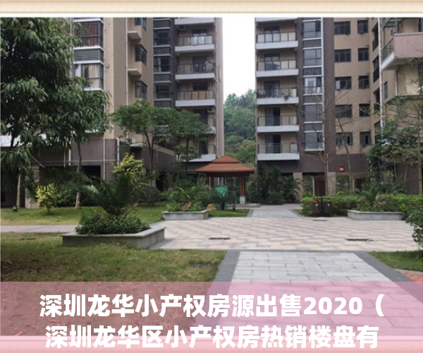 深圳龙华小产权房源出售2020（深圳龙华区小产权房热销楼盘有哪些？）(深圳龙华小产权房最新政策2021)