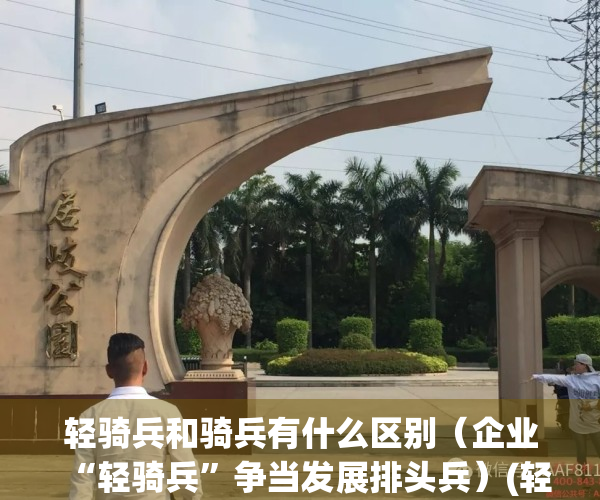 轻骑兵和骑兵有什么区别（企业“轻骑兵”争当发展排头兵）(轻骑兵怎么样)