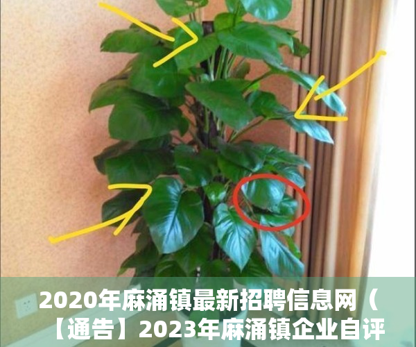 2020年麻涌镇最新招聘信息网（【通告】2023年麻涌镇企业自评人才入户资格申报公告）