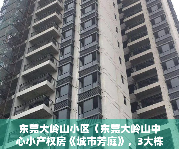 东莞大岭山小区（东莞大岭山中心小产权房《城市芳庭》，3大栋120套，距R1线大岭山站100米，沃尔玛商圈）