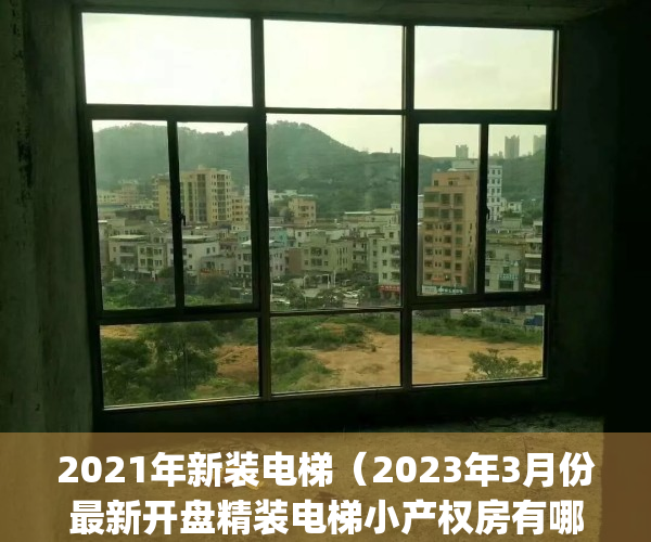 2021年新装电梯（2023年3月份最新开盘精装电梯小产权房有哪些）(2020年电梯加装政策)