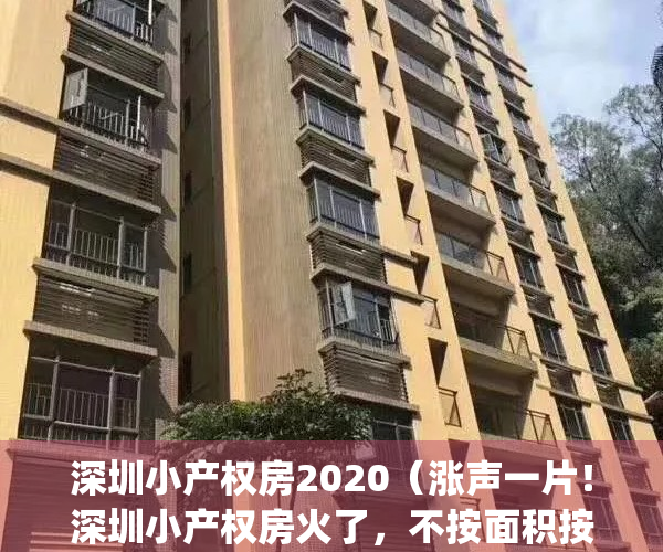 深圳小产权房2020（涨声一片！深圳小产权房火了，不按面积按套卖！）(深圳小产权暴涨30%)