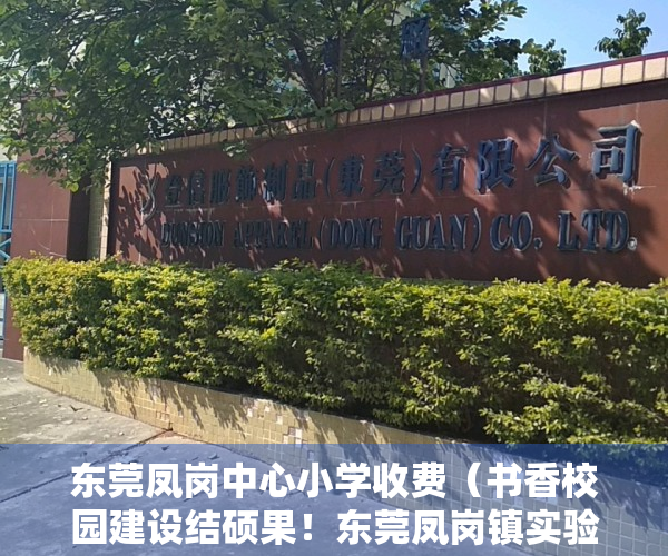 东莞凤岗中心小学收费（书香校园建设结硕果！东莞凤岗镇实验小学“凤翔队”夺得团体冠军）