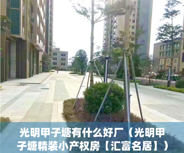 光明甲子塘有什么好厂（光明甲子塘精装小产权房【汇富名居】）(光明街区甲子塘治安综合楼)