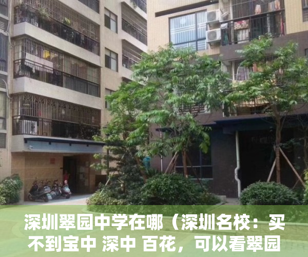 深圳翠园中学在哪（深圳名校：买不到宝中 深中 百花，可以看翠园中学 总价三字头起）