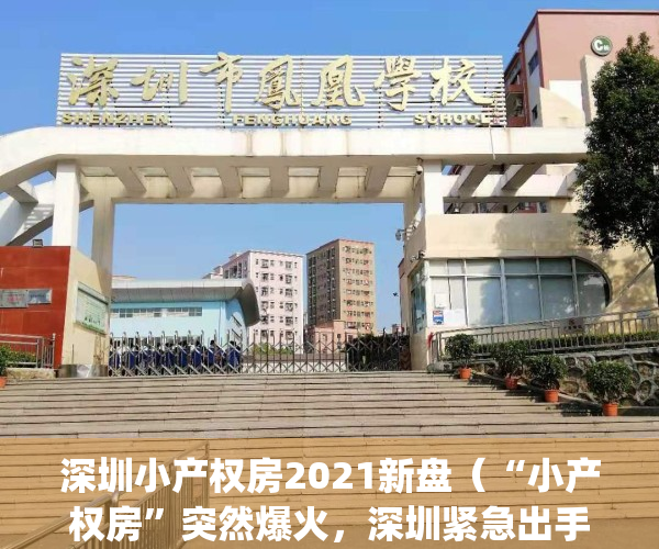 深圳小产权房2021新盘（“小产权房”突然爆火，深圳紧急出手了！）(深圳小产权房近况)