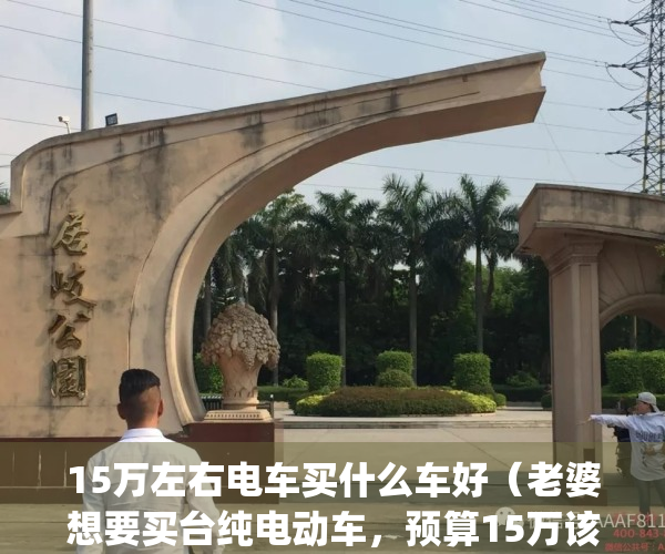 15万左右电车买什么车好（老婆想要买台纯电动车，预算15万该怎么选？）(15万可以买什么电动车)