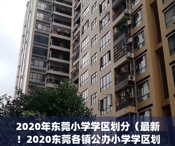 2020年东莞小学学区划分（最新！2020东莞各镇公办小学学区划分方案）(东莞小学划片)