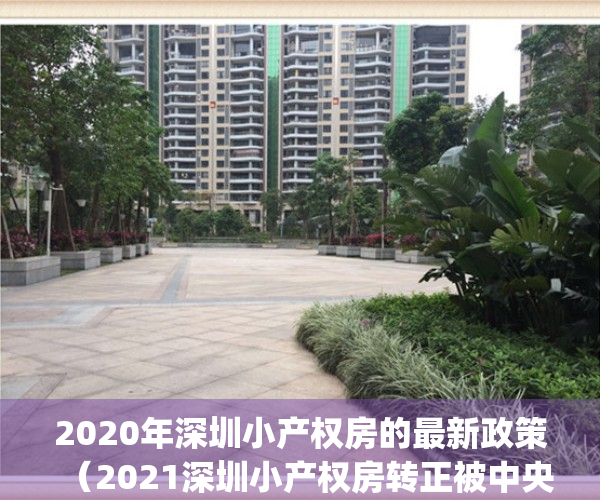 2020年深圳小产权房的最新政策（2021深圳小产权房转正被中央叫停）(深圳关于小产权房新政策)