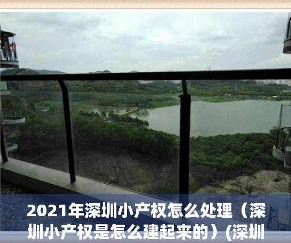 2021年深圳小产权怎么处理（深圳小产权是怎么建起来的）(深圳对小产权房的处理办法)