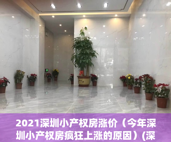 2021深圳小产权房涨价（今年深圳小产权房疯狂上涨的原因）(深圳小产权房子降价了吗)