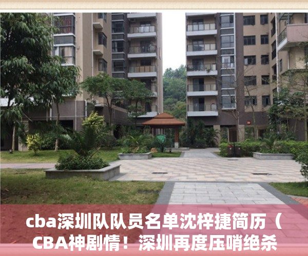 cba深圳队队员名单沈梓捷简历（CBA神剧情！深圳再度压哨绝杀，22岁小将一剑封喉，全队疯狂庆祝）