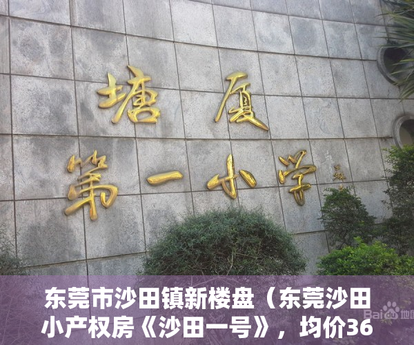 东莞市沙田镇新楼盘（东莞沙田小产权房《沙田一号》，均价3688元平，80%使用率，带固定1：1 车位）