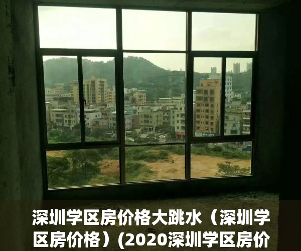 深圳学区房价格大跳水（深圳学区房价格）(2020深圳学区房价格)