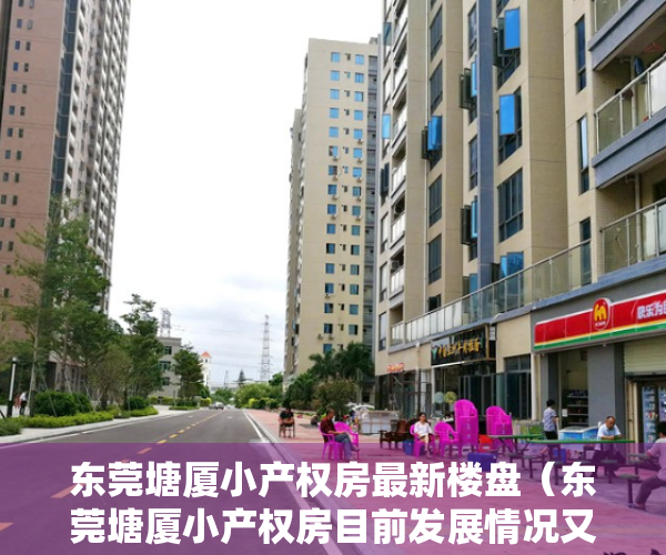 东莞塘厦小产权房最新楼盘（东莞塘厦小产权房目前发展情况又是怎样的？）