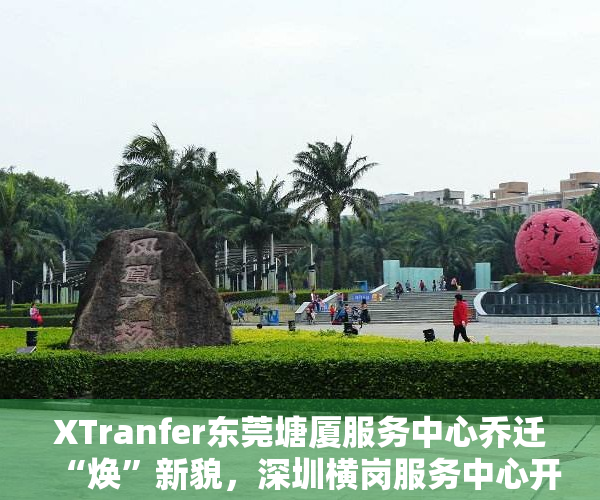 XTranfer东莞塘厦服务中心乔迁“焕”新貌，深圳横岗服务中心开业启“新”程