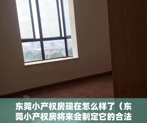 东莞小产权房现在怎么样了（东莞小产权房将来会制定它的合法性吗？）