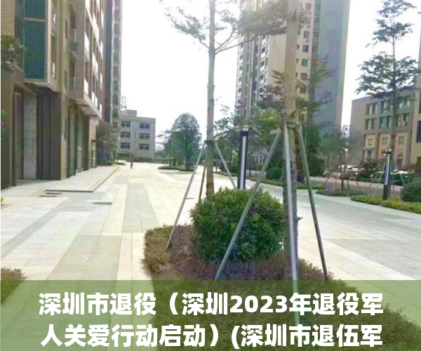 深圳市退役（深圳2023年退役军人关爱行动启动）(深圳市退伍军人办公室)