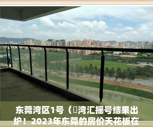 东莞湾区1号（瑧湾汇摇号结果出炉！2023年东莞的房价天花板在哪里？）(东莞湾区发展规划纲要 全文)