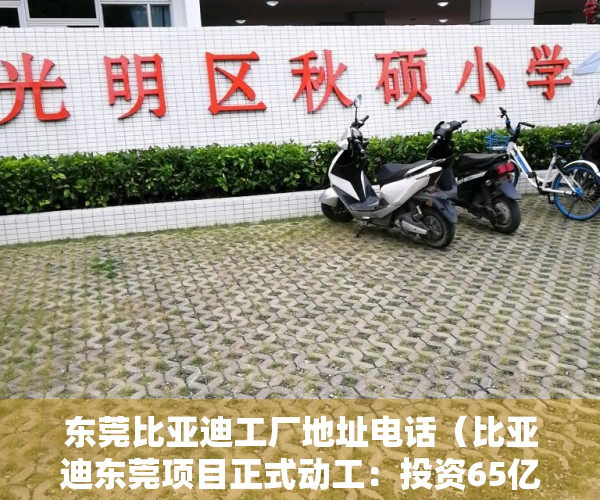 东莞比亚迪工厂地址电话（比亚迪东莞项目正式动工：投资65亿元 未来新能源发动机将是东莞造）