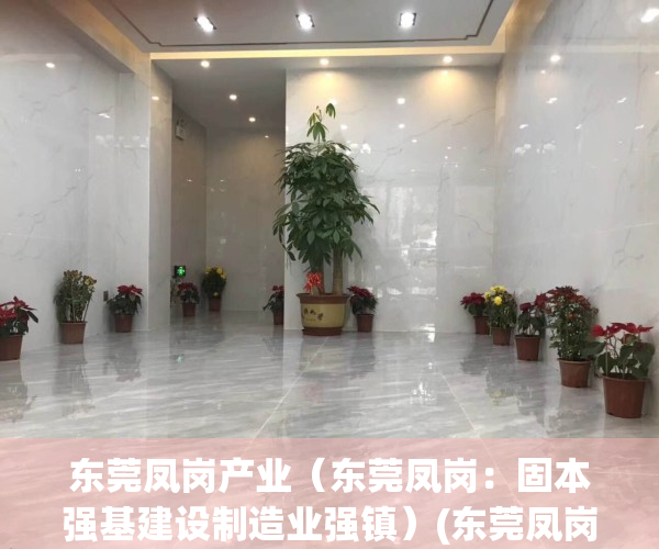 东莞凤岗产业（东莞凤岗：固本强基建设制造业强镇）(东莞凤岗镇项目)