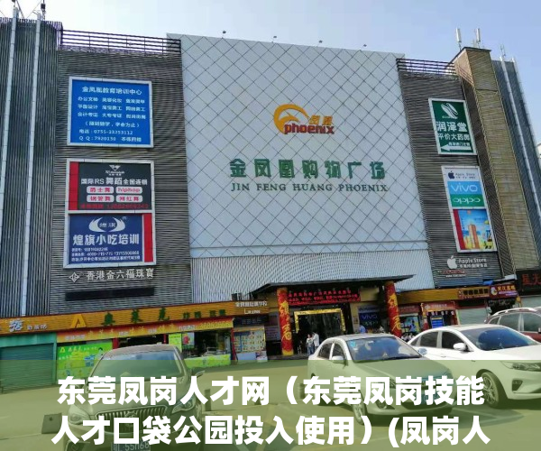 东莞凤岗人才网（东莞凤岗技能人才口袋公园投入使用）(凤岗人才市场)