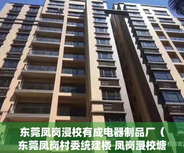 东莞凤岗浸校有成电器制品厂（东莞凤岗村委统建楼 凤岗浸校塘小产权房 138万一套 精装修 即买即住 投资居住适宜）