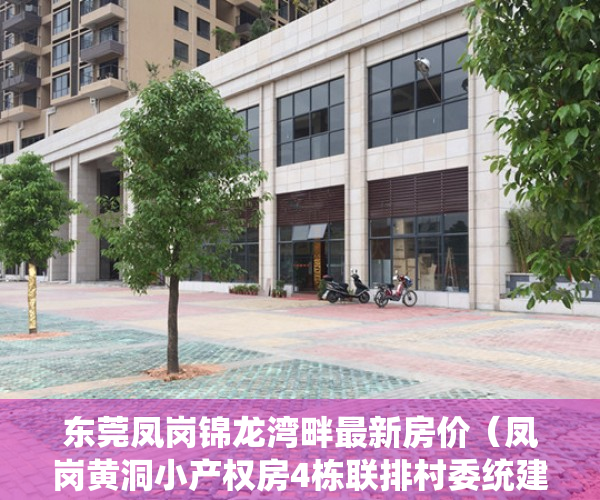 东莞凤岗锦龙湾畔最新房价（凤岗黄洞小产权房4栋联排村委统建楼《锦龙二期》首付5成 分期3年  三房两厅698万起   毛胚交房  手续齐全 深莞0距离）