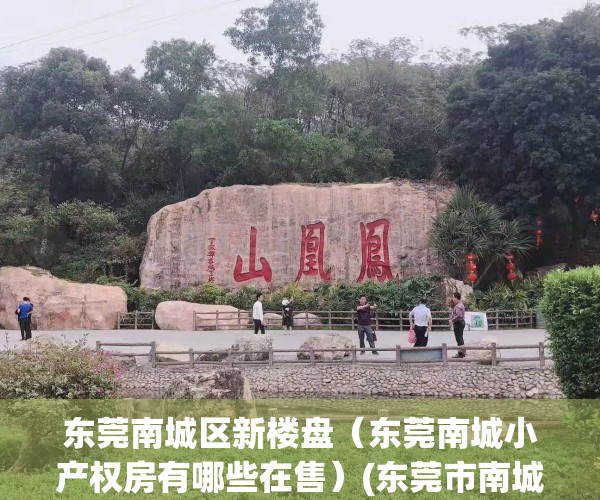 东莞南城区新楼盘（东莞南城小产权房有哪些在售）(东莞市南城小区多少栋楼排名)