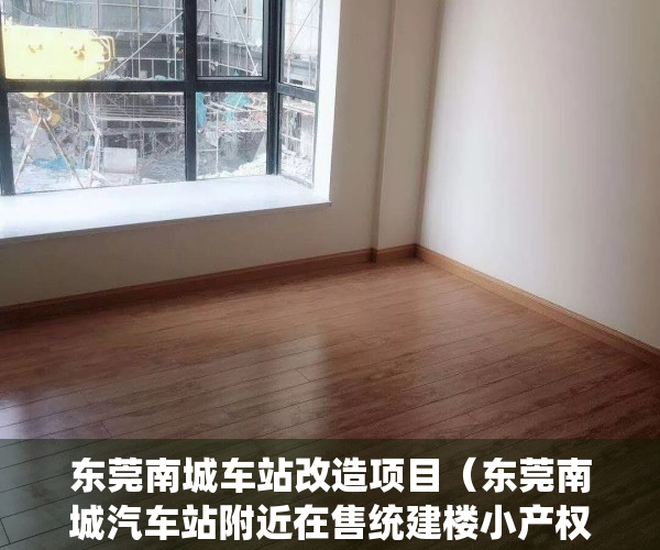 东莞南城车站改造项目（东莞南城汽车站附近在售统建楼小产权房出售南城蛤地在售统建楼小产权房出售可分期）